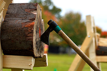 PALMETTO AXES
