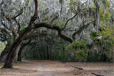 BEAUFORT ACTIVITIES