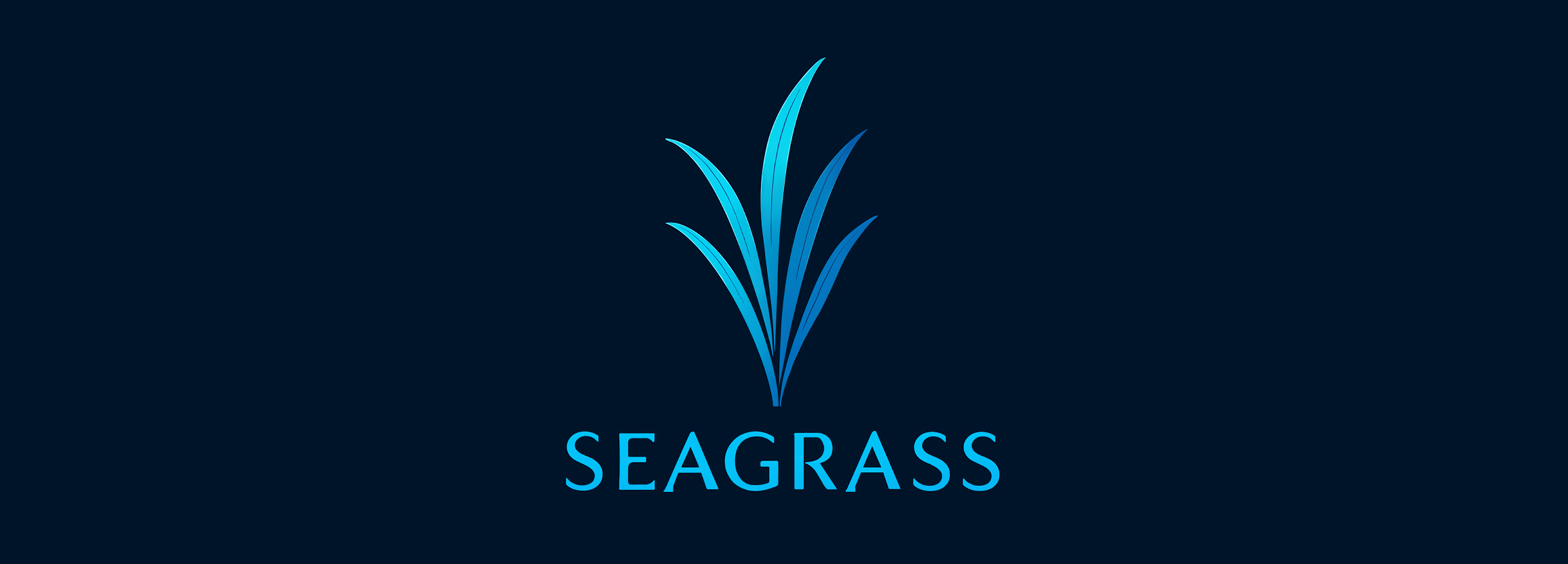 SEAGRASS CO