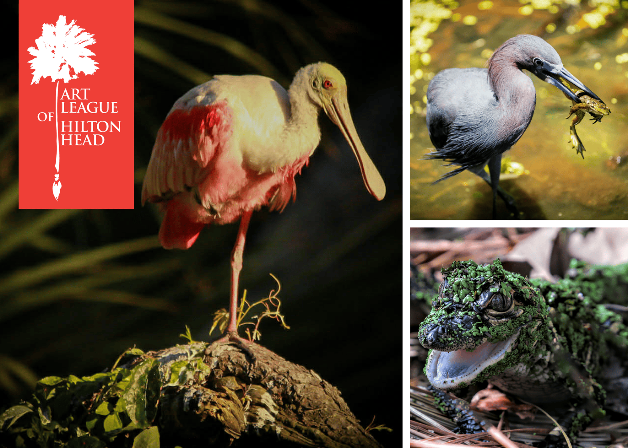 ART LEAGUE OF HILTON HEAD